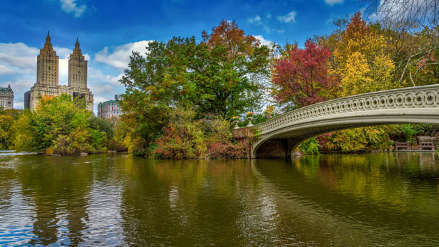 Central Park bridge