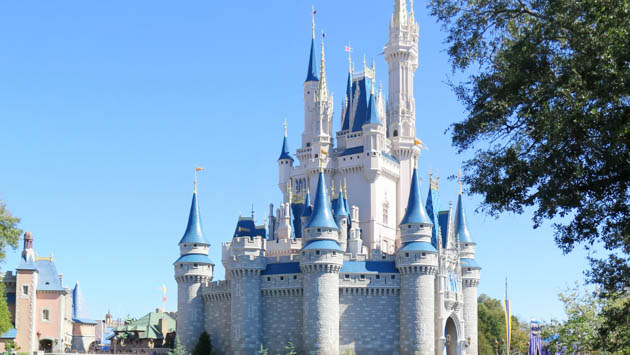 Disney World castle