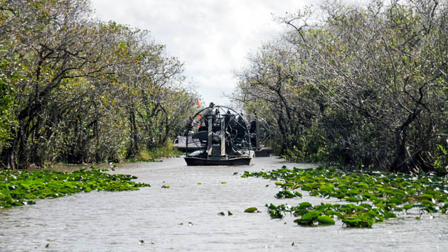 Airboat on the Everglades