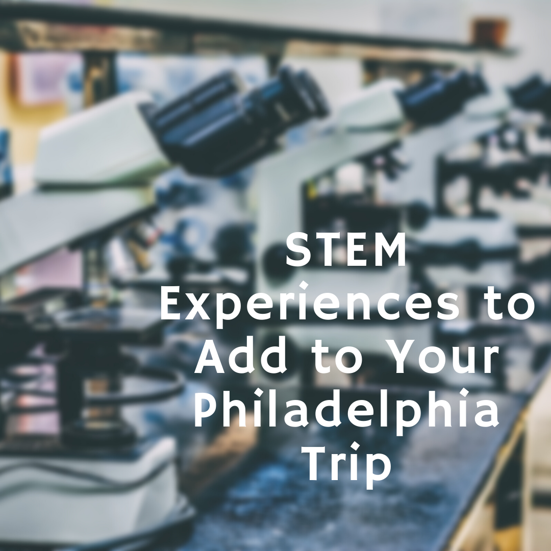 STEM Experiences