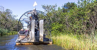 Florida Everglades Airboat