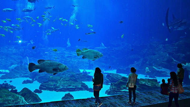 Students at an aquarium