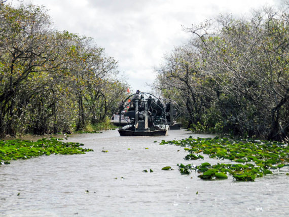 Airboat on the Everglades