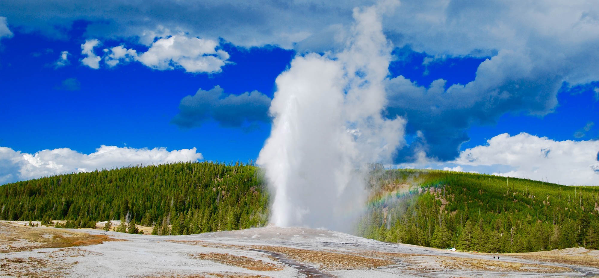 Geyser spewing at Yellowstone National Park