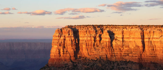 The Grand Canyon