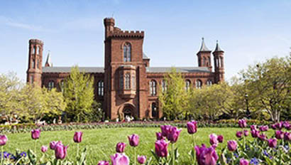 DC-Smithsonian-Castle