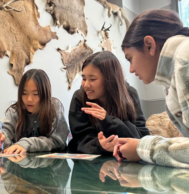 Pictures of students coloring