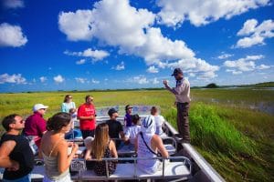 Glide the everglades in Florida Keys