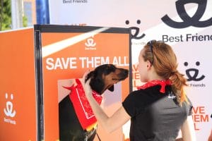 Best friends animal society