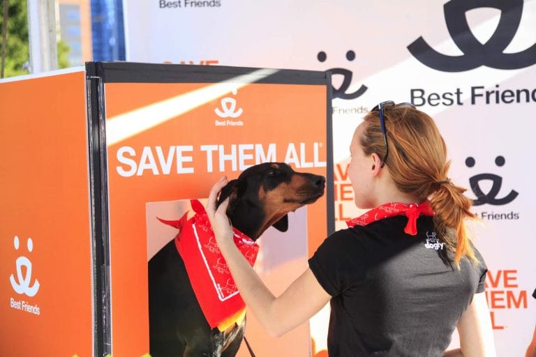 Best friends animal society