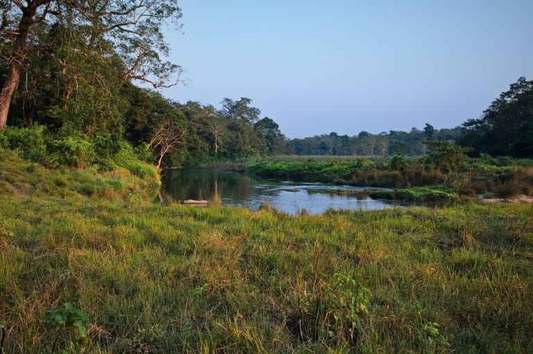 Chitwan National Park Jungle Safari