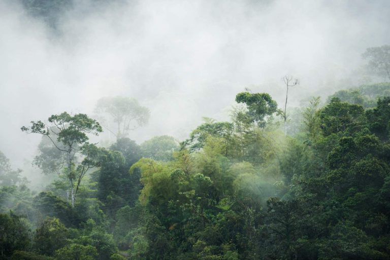 Nations Classroom Ecuador Tour