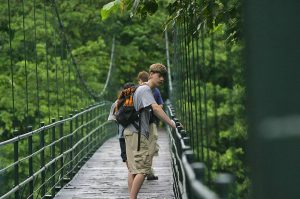 Hanging bridges Costa Rica