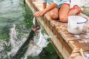 Feed the Tarpon at Robbie’s