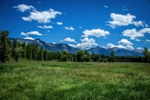 Flathead Trails Montana