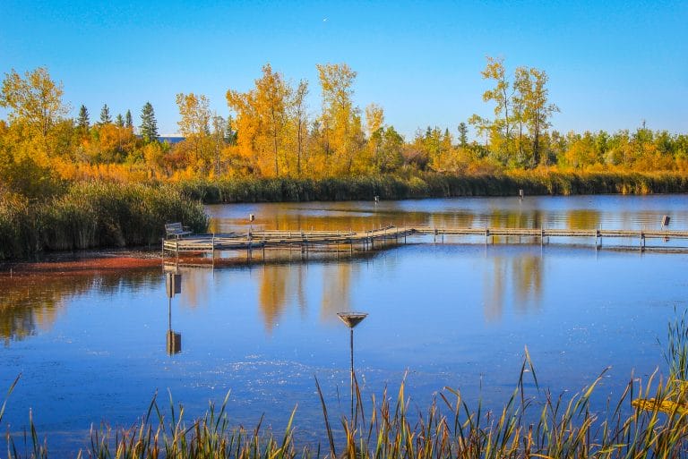 Fort Whyte Alive Nature Reserve