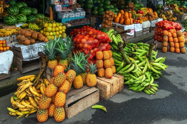 Nations Classroom Ecuador Tour