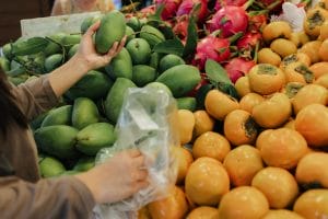 Farming and fruits tour in Florida