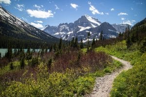 Glacier Park Trails Montana