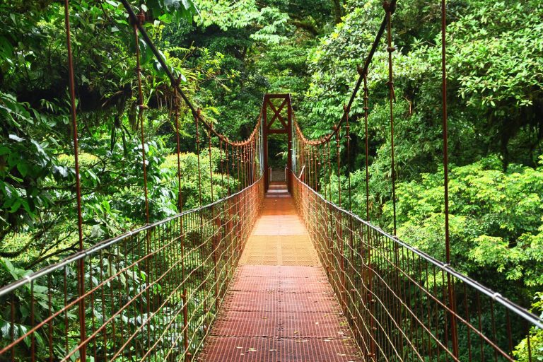 Costa Rica hanging bridges