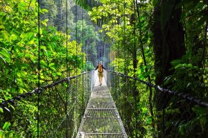 Hanging bridges Costa Rica