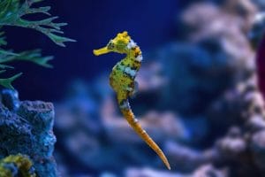 Marine life lab tour Florida Keys