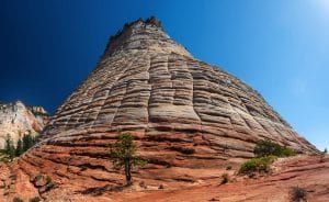Tour on Zion National Park