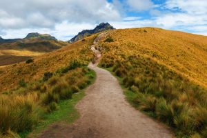 Ecuador Tour