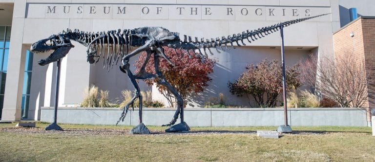 Museum of the Rockies