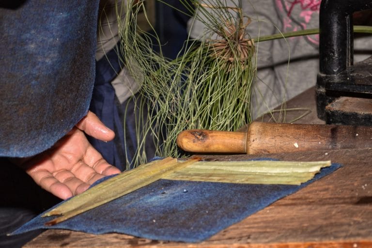 Papyrus Making Workshop