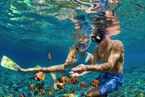 Coral reefs snorkeling Florida Keys