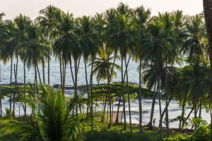 Tamarindo beach Costa Rica
