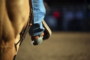 Dolly Parton's Stampede Dinner Show