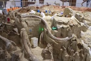 Mammoth dig site