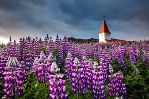 Reykjanes Peninsula tour Iceland