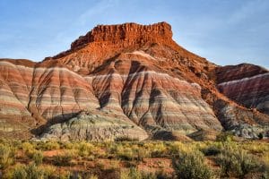 Sanctuary tour & service project