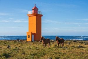 Reykjanes Peninsula tour Iceland