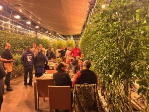 Friðheimar Greenhouse tour