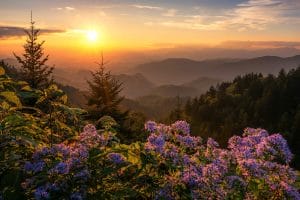 Great Smoky Mountains National Park