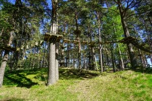 treetop lines park at Orlando