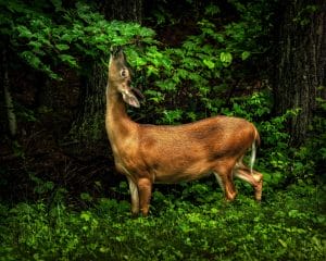 Explore biodiversity tour