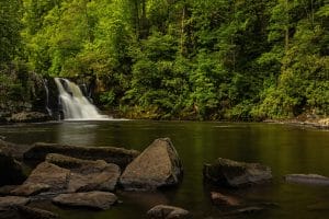 Guided Hike in Smoky Mountains