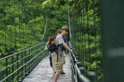 Copy of Hanging Bridges (1)